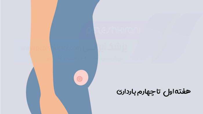 هفته اول تا چهارم بارداری