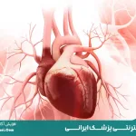 قلب انسان