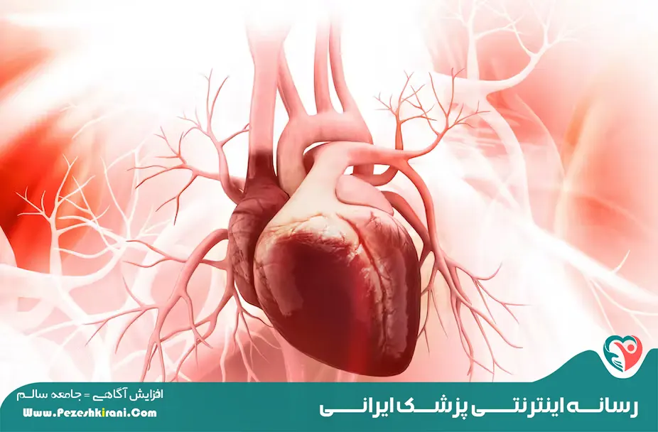قلب انسان